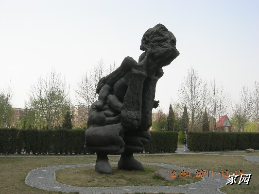 BigBull_天通苑公园花卉 129.jpg