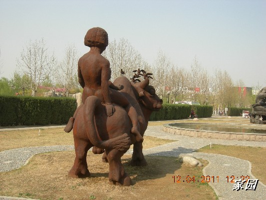 BigBull_天通苑公园花卉 142.jpg