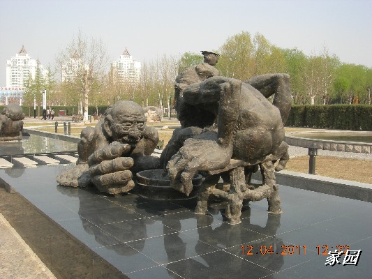 BigBull_天通苑公园花卉 144.jpg
