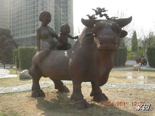 BigBull_天通苑公园花卉 146.jpg