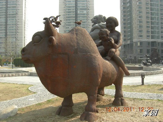 BigBull_天通苑公园花卉 147.jpg
