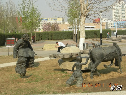 BigBull_天通苑公园花卉 149.jpg