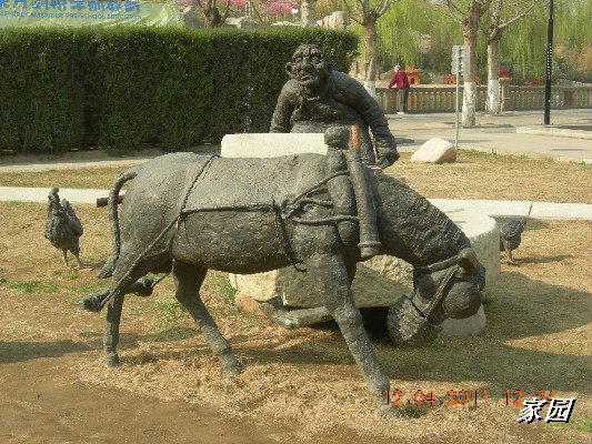 BigBull_天通苑公园花卉 151.jpg