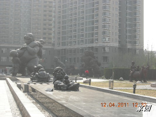 BigBull_天通苑公园花卉 161.jpg