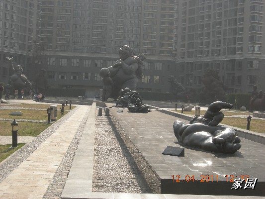 BigBull_天通苑公园花卉 162.jpg