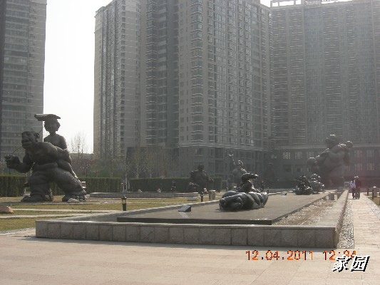 BigBull_天通苑公园花卉 164.jpg