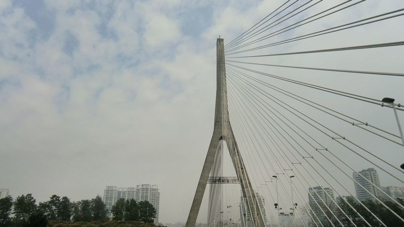 CIMG2206.JPG