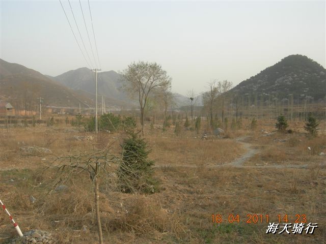 BigBull_110416 果树园牛肚宴 112.jpg