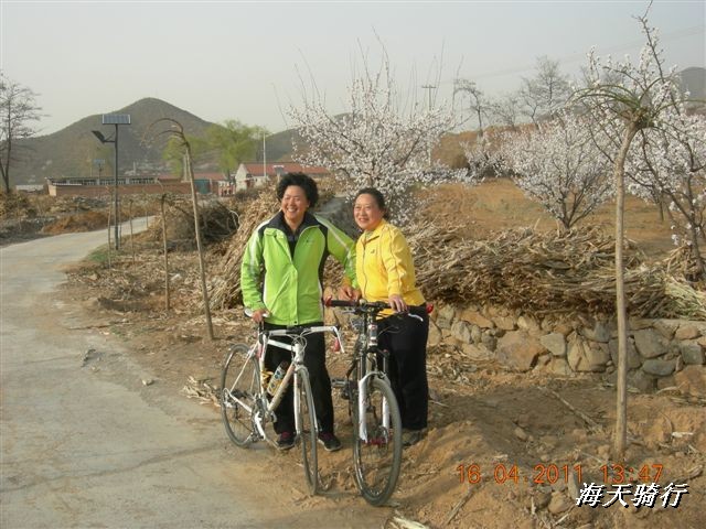 BigBull_110416 果树园牛肚宴 093.jpg