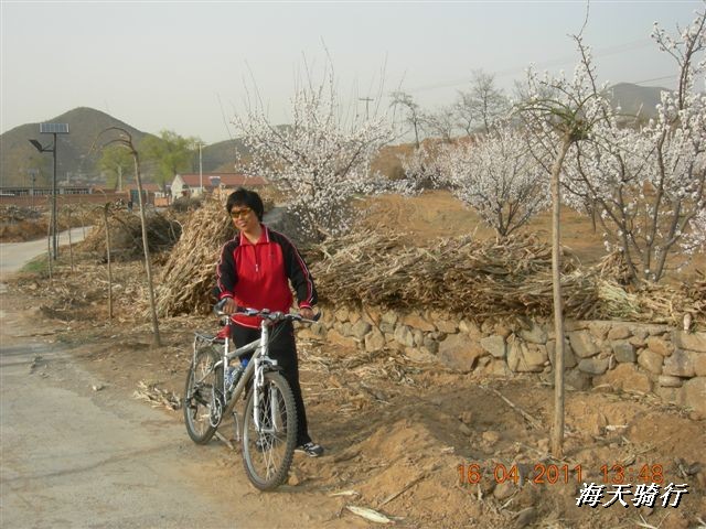 BigBull_110416 果树园牛肚宴 095.jpg