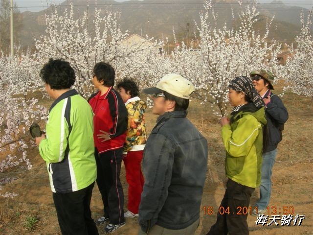 BigBull_110416 果树园牛肚宴 096.jpg