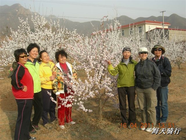 BigBull_110416 果树园牛肚宴 097.jpg