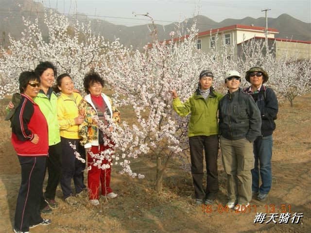 BigBull_110416 果树园牛肚宴 098.jpg