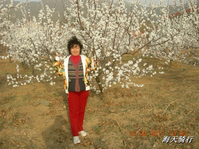 BigBull_110416 果树园牛肚宴 102.jpg