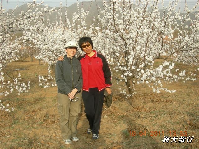 BigBull_110416 果树园牛肚宴 103.jpg