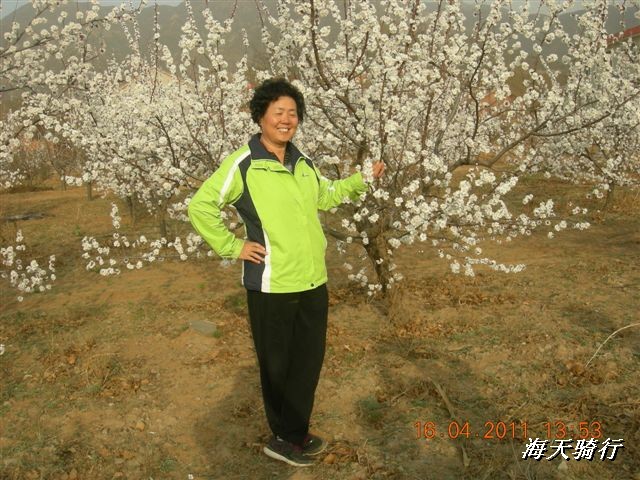 BigBull_110416 果树园牛肚宴 104.jpg