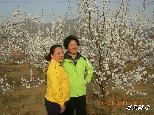 BigBull_110416 果树园牛肚宴 105.jpg