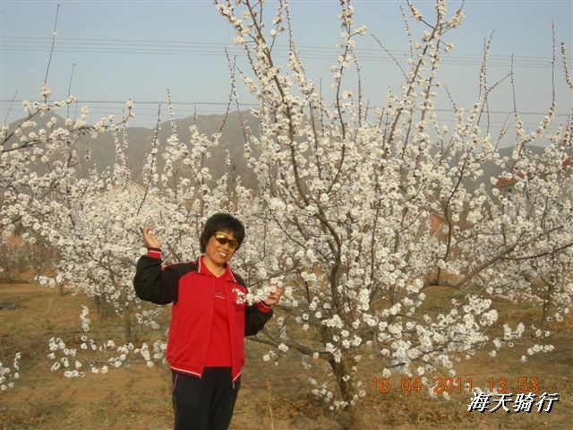 BigBull_110416 果树园牛肚宴 106.jpg