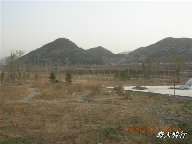 BigBull_110416 果树园牛肚宴 111.jpg