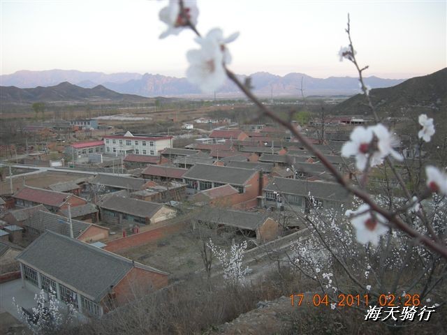 BigBull_110416 果树园牛肚宴 115.jpg