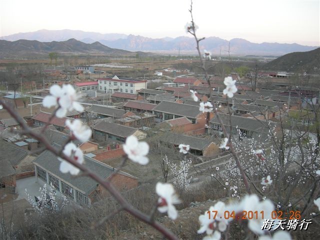 BigBull_110416 果树园牛肚宴 117.jpg