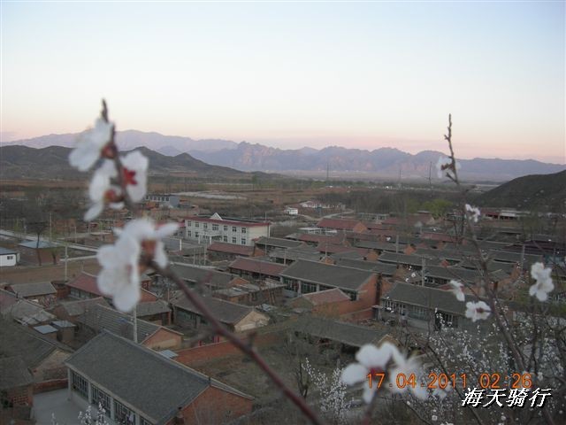 BigBull_110416 果树园牛肚宴 118.jpg