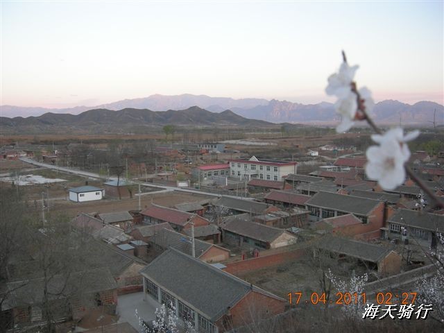 BigBull_110416 果树园牛肚宴 119.jpg