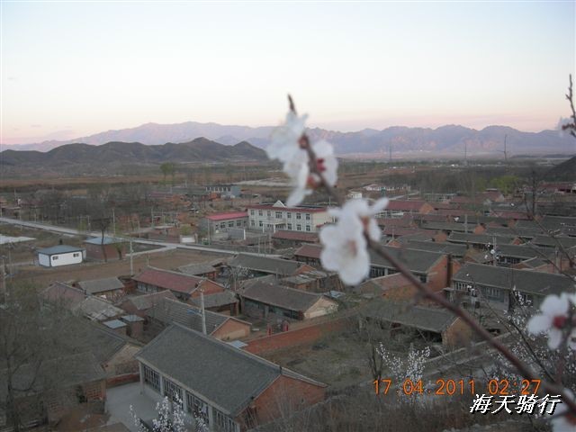 BigBull_110416 果树园牛肚宴 120.jpg