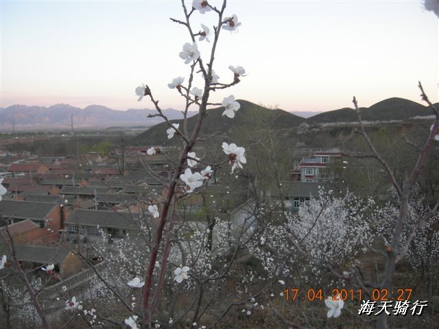 BigBull_110416 果树园牛肚宴 121.jpg