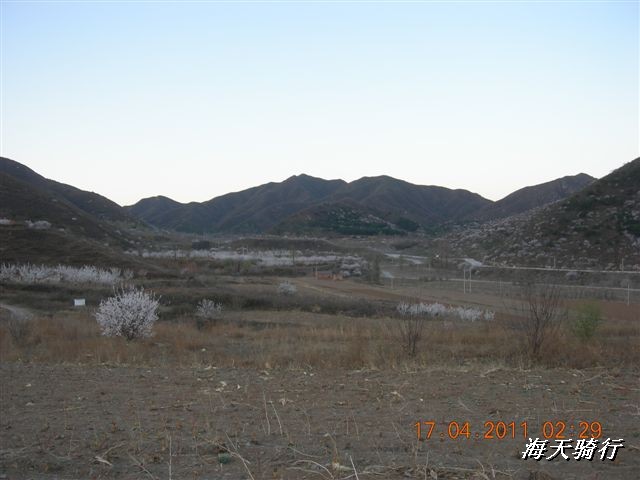 BigBull_110416 果树园牛肚宴 122.jpg