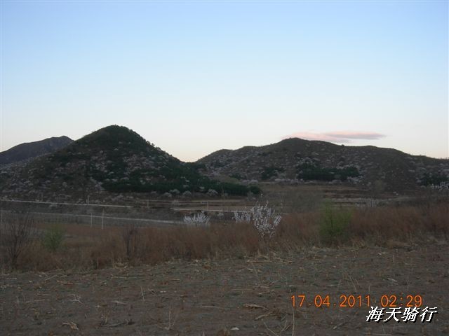 BigBull_110416 果树园牛肚宴 123.jpg