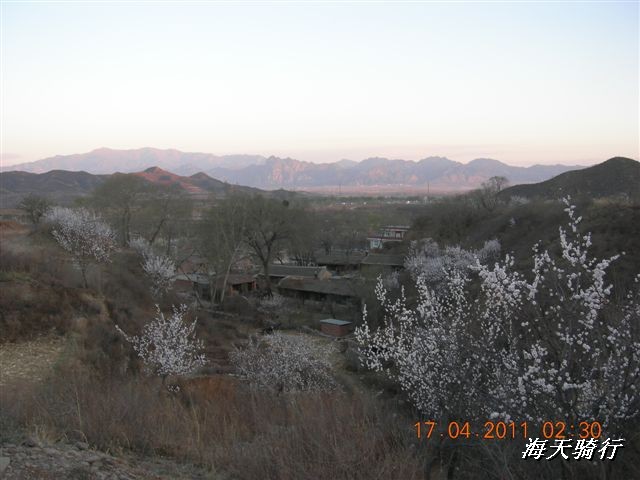 BigBull_110416 果树园牛肚宴 124.jpg