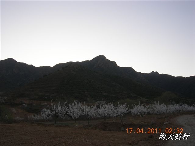 BigBull_110416 果树园牛肚宴 126.jpg