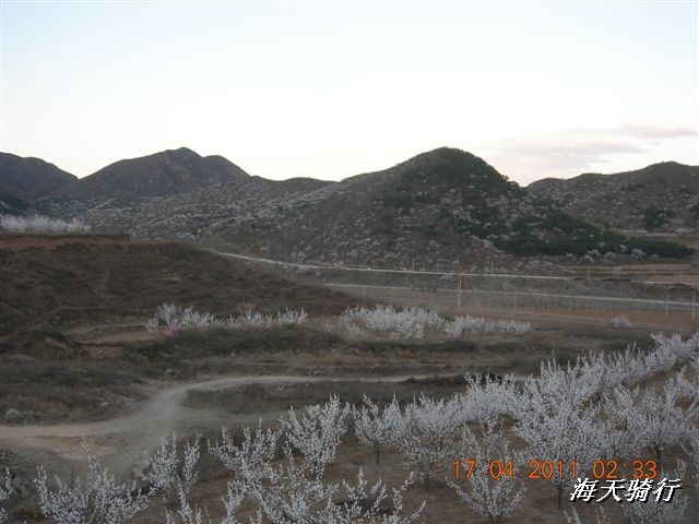 BigBull_110416 果树园牛肚宴 127.jpg