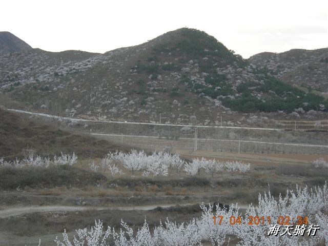 BigBull_110416 果树园牛肚宴 128.jpg