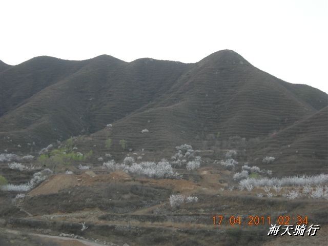 BigBull_110416 果树园牛肚宴 129.jpg