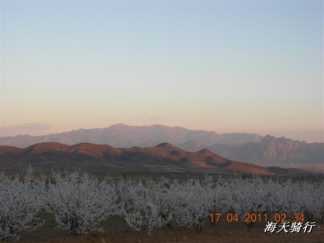 BigBull_110416 果树园牛肚宴 130.jpg