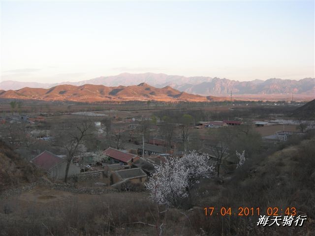 BigBull_110416 果树园牛肚宴 136.jpg