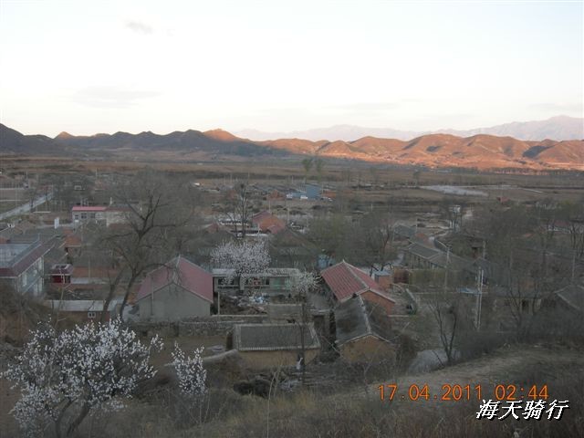 BigBull_110416 果树园牛肚宴 137.jpg