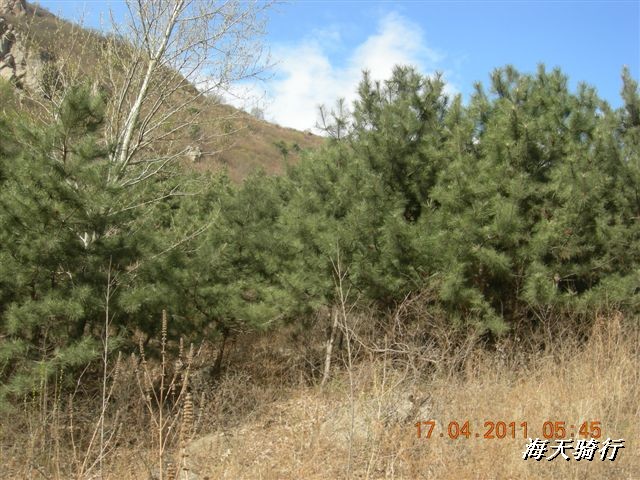 BigBull_110416 果树园牛肚宴 169.jpg