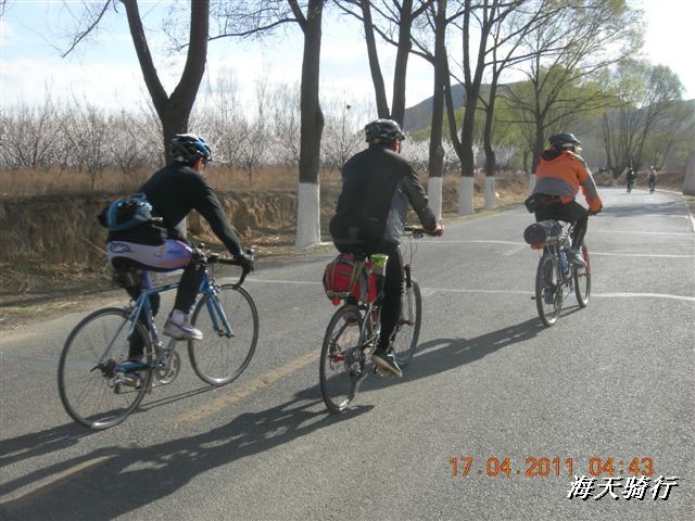 BigBull_110416 果树园牛肚宴 158.jpg