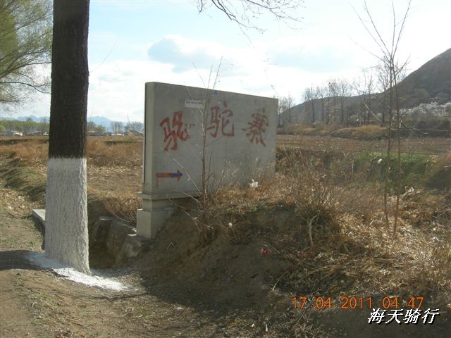 BigBull_110416 果树园牛肚宴 161.jpg