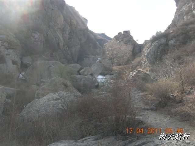 BigBull_110416 果树园牛肚宴 173.jpg