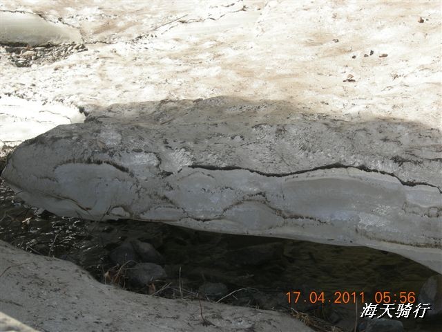 BigBull_110416 果树园牛肚宴 187.jpg