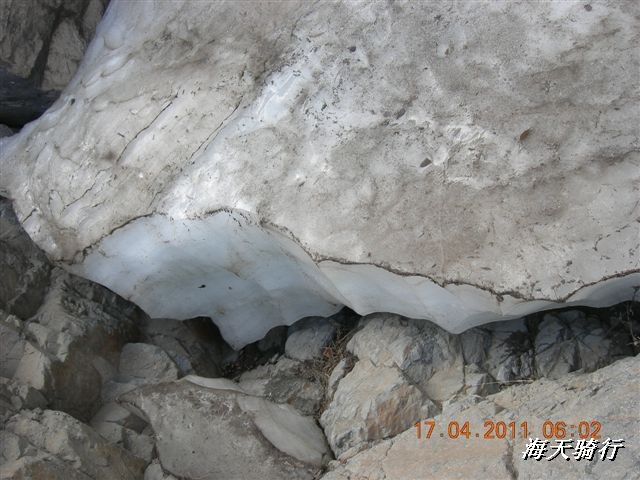 BigBull_110416 果树园牛肚宴 197.jpg