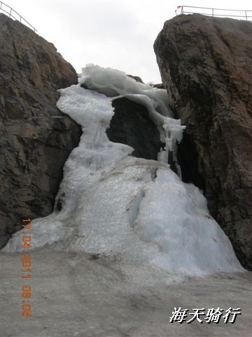 BigBull_110416 果树园牛肚宴 203.jpg