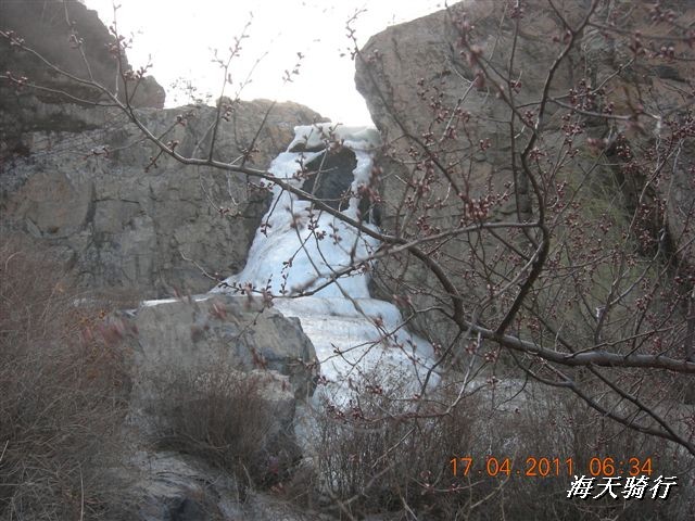 BigBull_110416 果树园牛肚宴 234.jpg