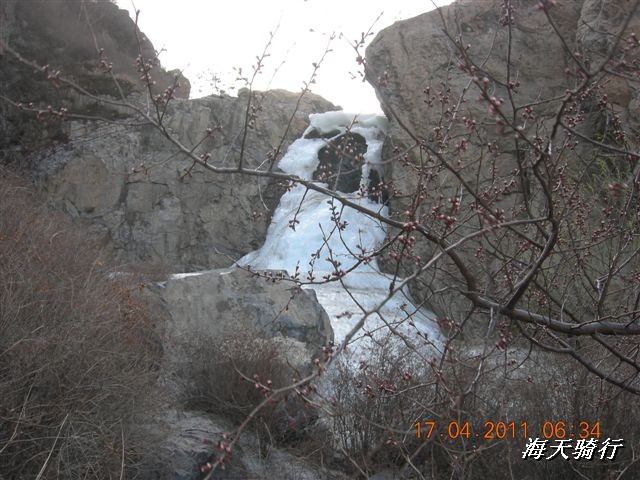 BigBull_110416 果树园牛肚宴 235.jpg