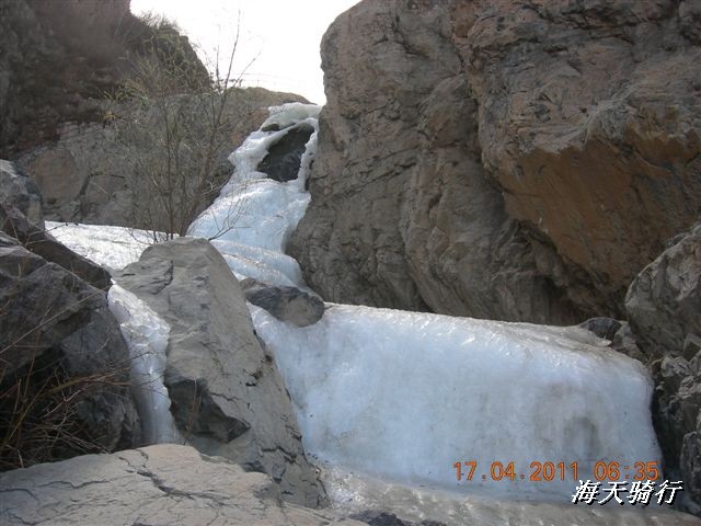 BigBull_110416 果树园牛肚宴 236.jpg