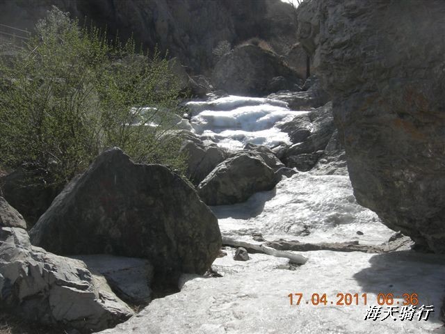 BigBull_110416 果树园牛肚宴 237.jpg